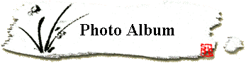 Photo Album