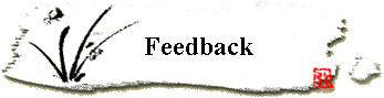 Feedback